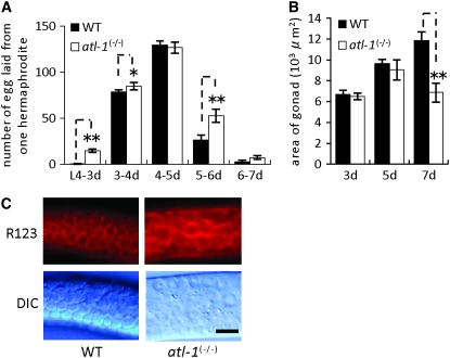 Figure 3.—