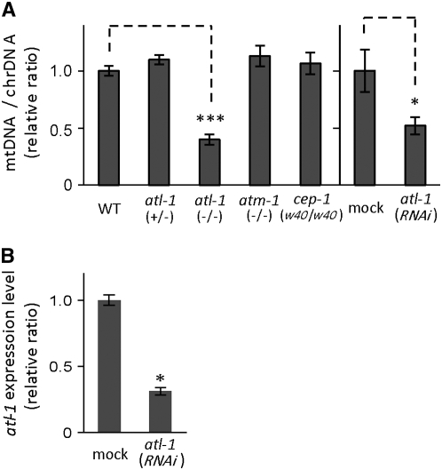 Figure 1.—