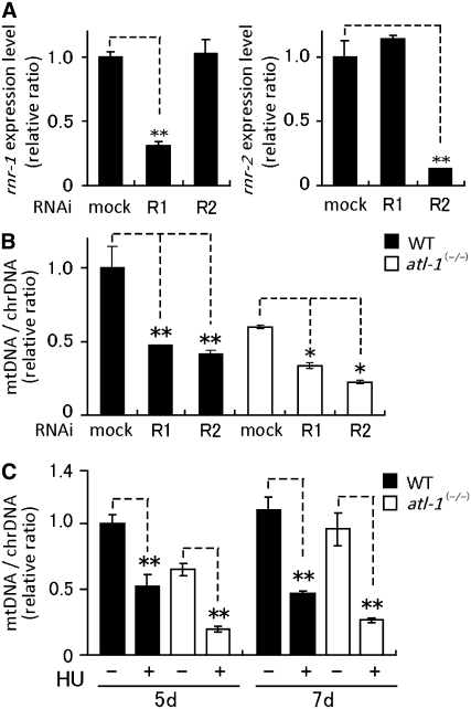 Figure 5.—