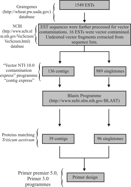 Figure 1