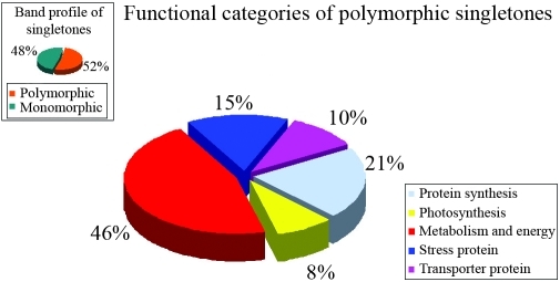 Figure 5