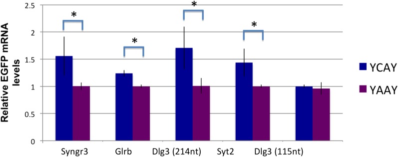 Figure 5—figure supplement 1.