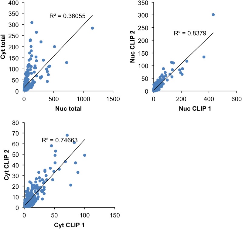 Figure 4—figure supplement 1.