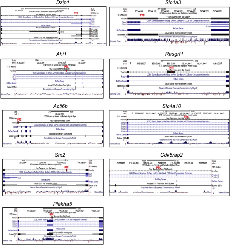 Figure 3—figure supplement 1.