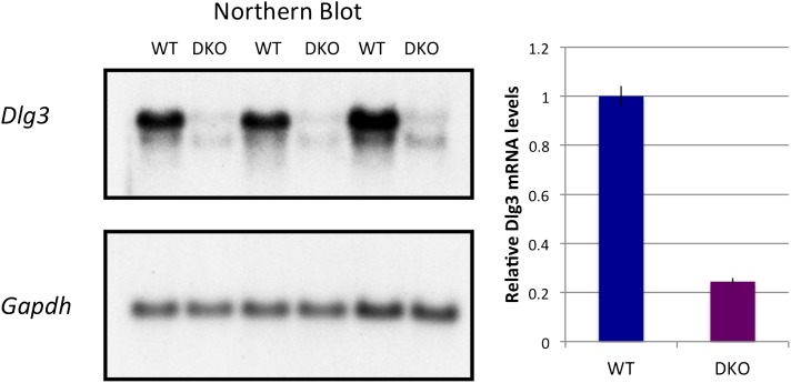 Figure 1—figure supplement 2.