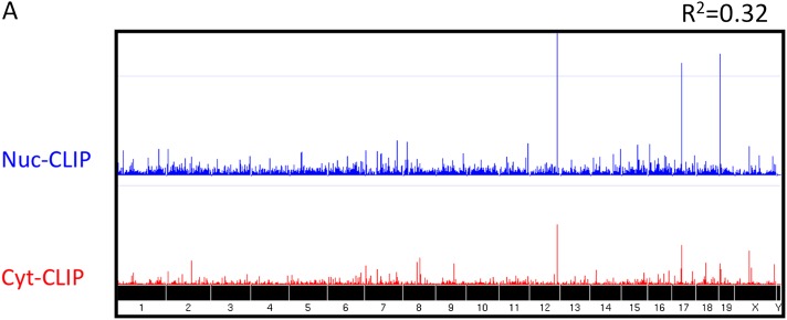 Figure 1—figure supplement 1.