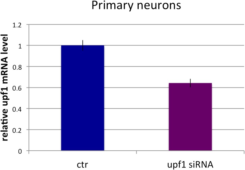 Figure 5—figure supplement 2.