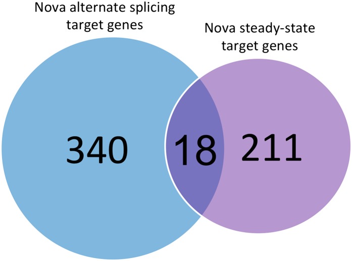 Figure 3—figure supplement 2.