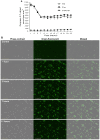 Fig 8