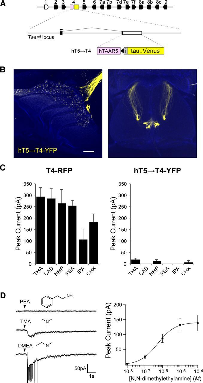 Figure 4.