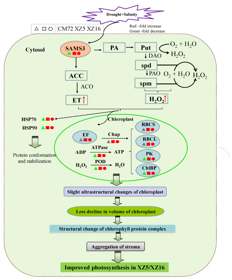 Figure 6