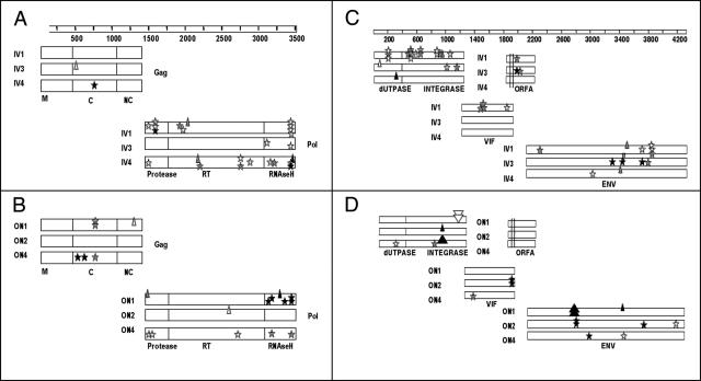 FIG. 3.