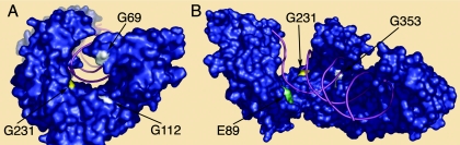 FIG. 5.