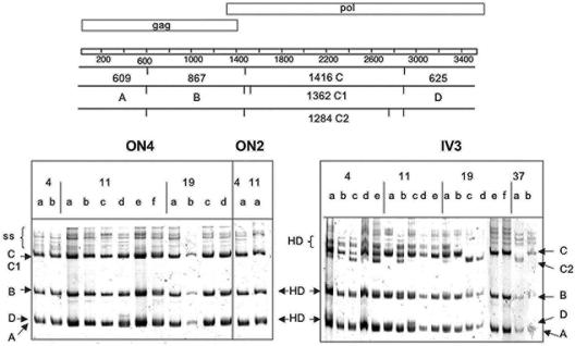 FIG. 2.