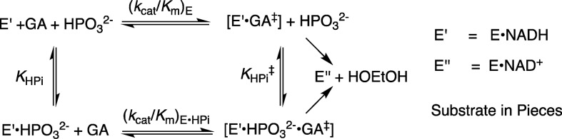 Scheme 3