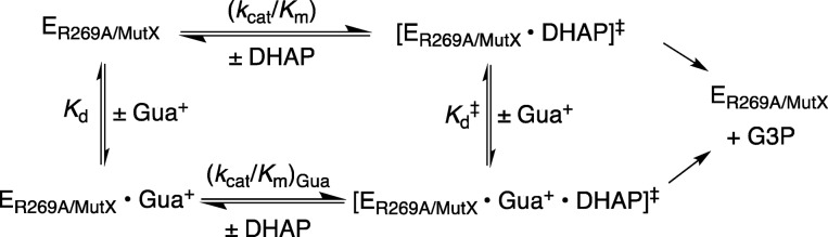 Scheme 5