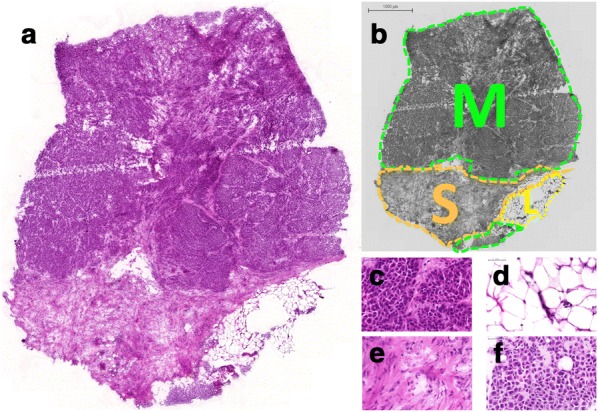 Fig. 7