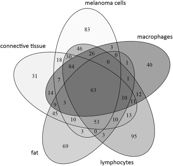 Fig. 6