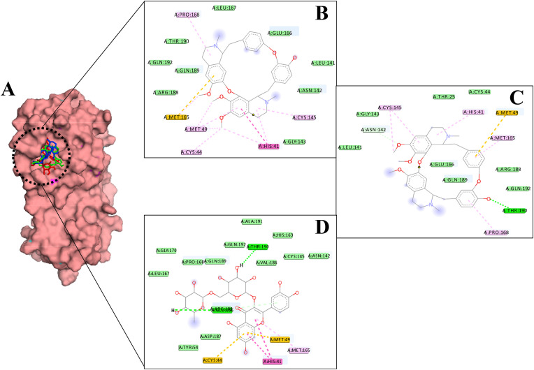 Fig. 3