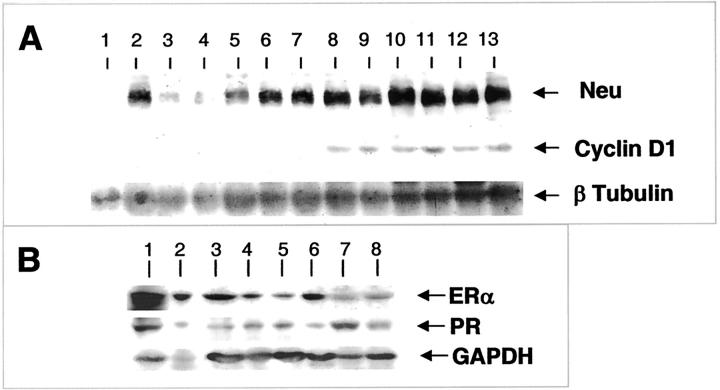 Figure 9.