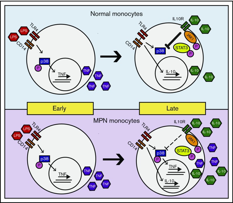 Figure 7.