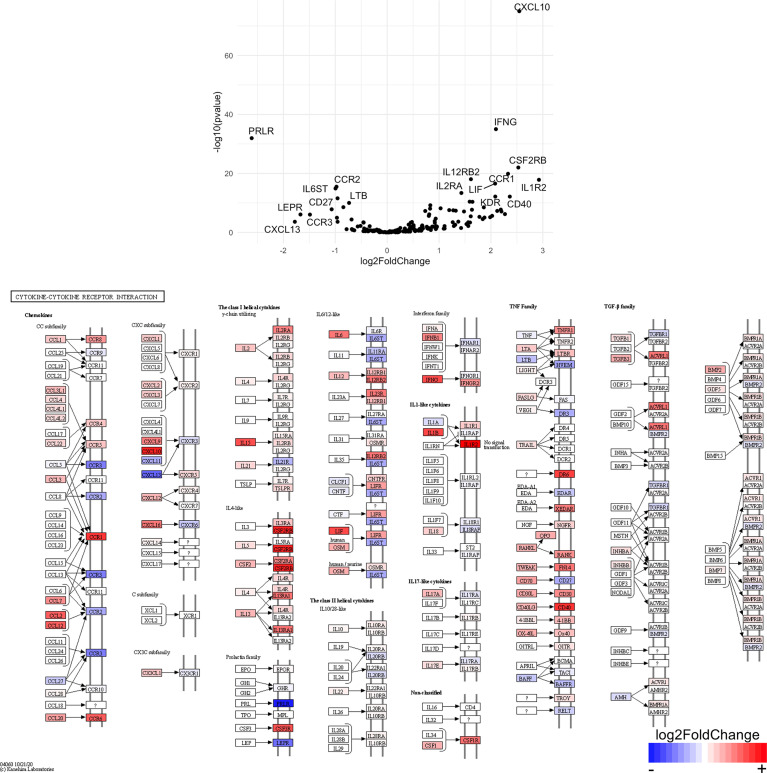 Figure 10