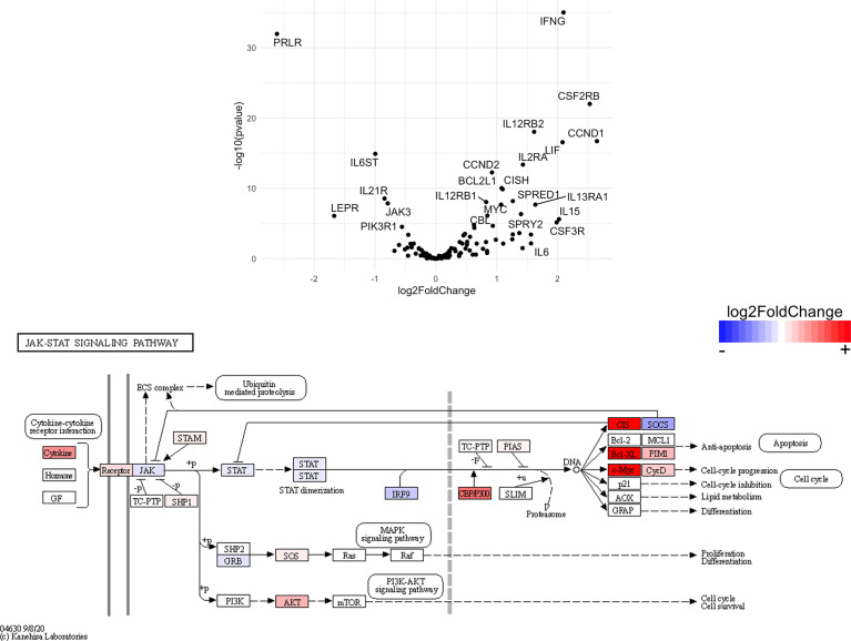 Figure 12