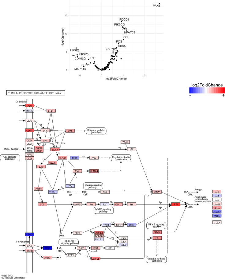 Figure 15