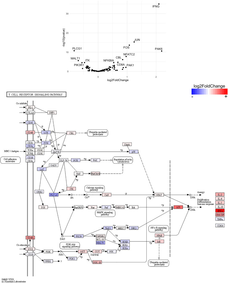 Figure 14