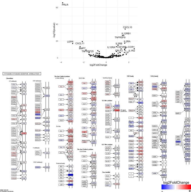 Figure 11