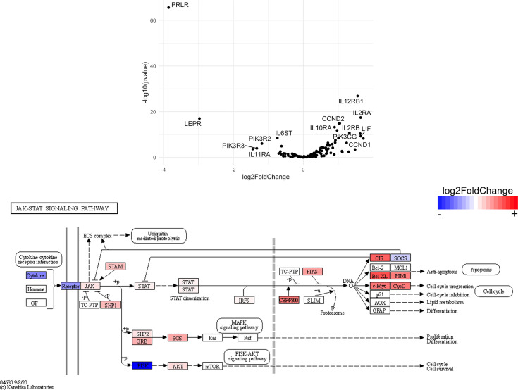 Figure 13