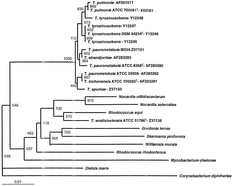 FIG. 1