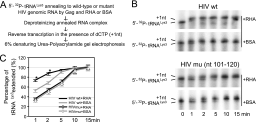 FIG. 8.