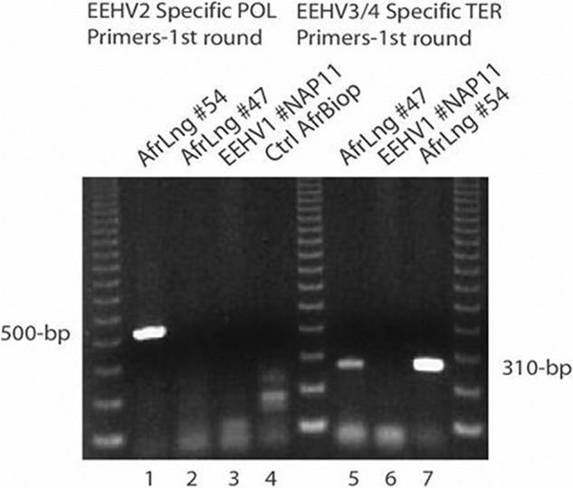 FIG 2