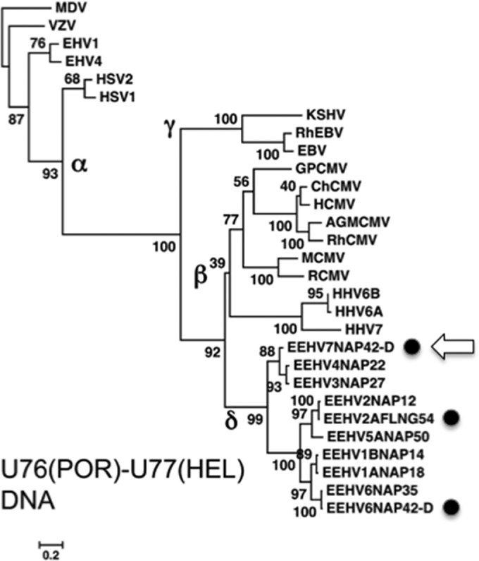 FIG 3