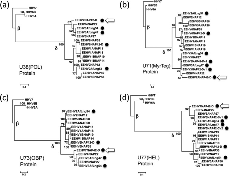 FIG 4