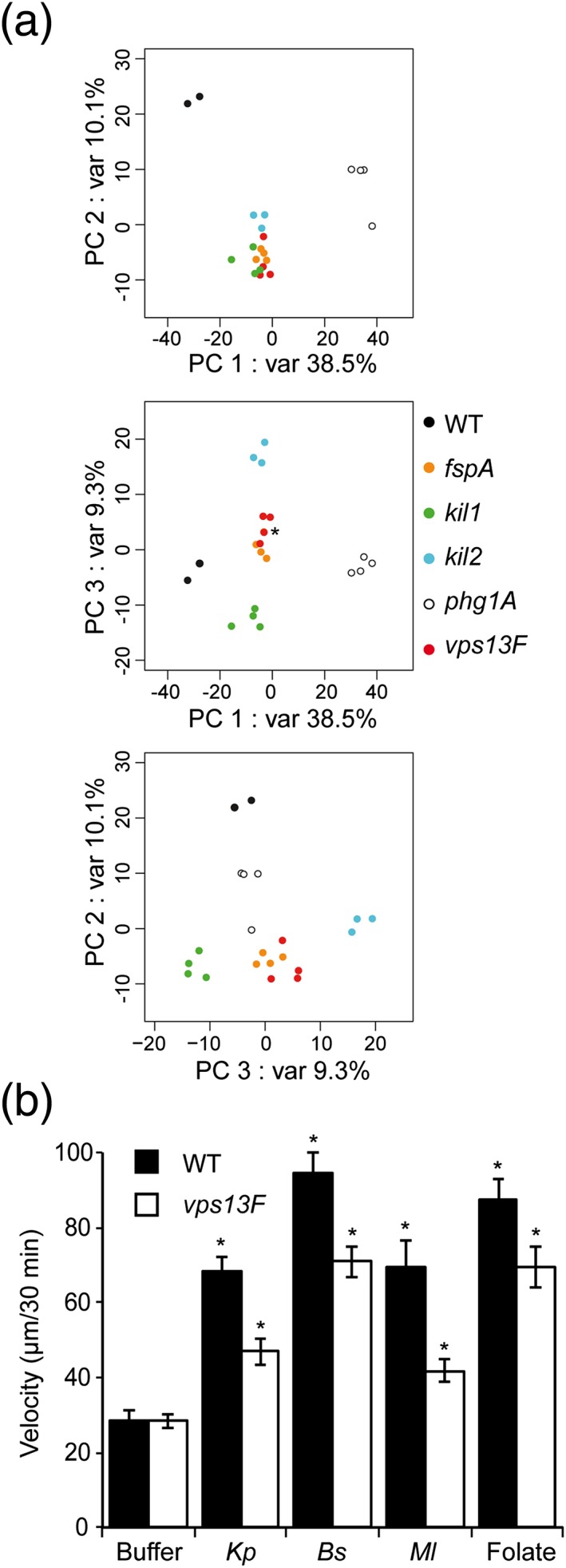 Figure 9