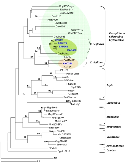 Figure 6