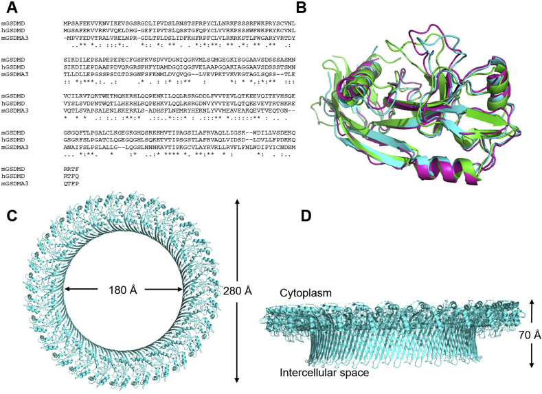 Figure 3