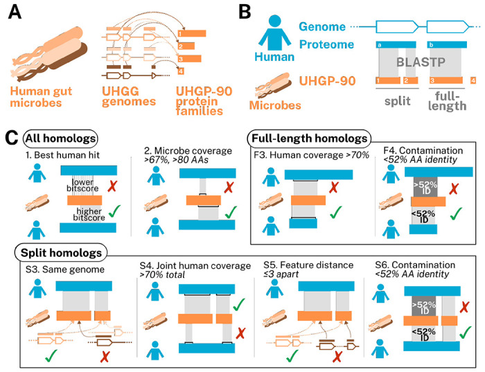 Figure 1: