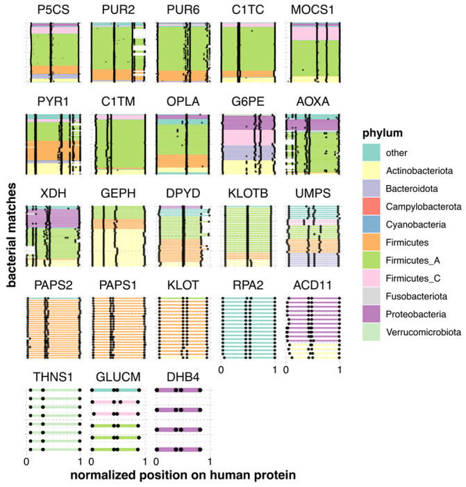 Figure 2: