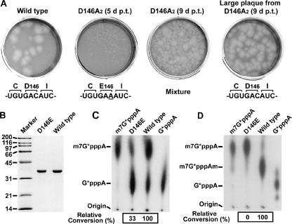 FIG. 7.