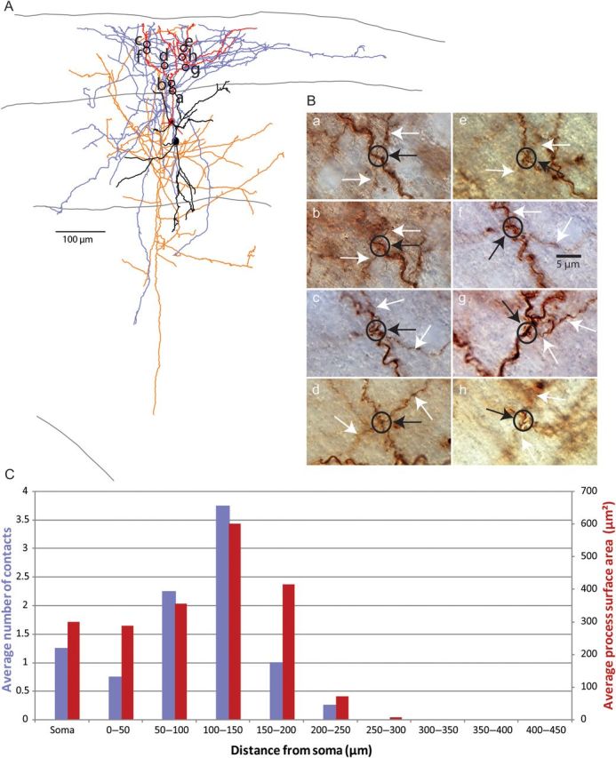 Figure 6.