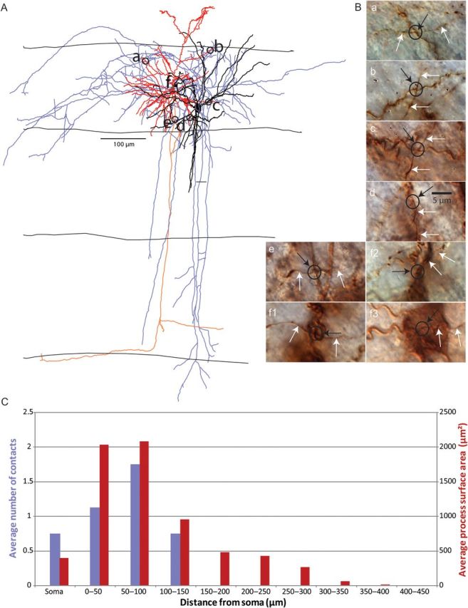 Figure 5.