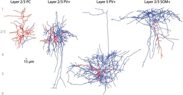 Figure 2.