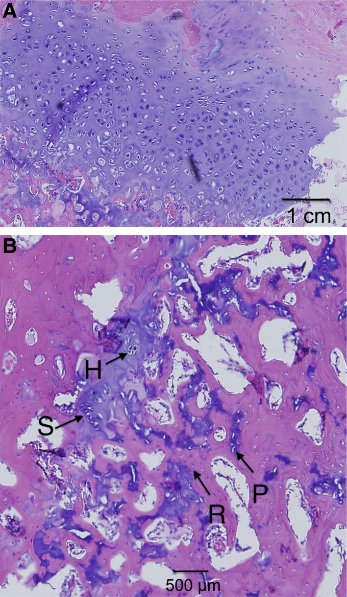 FIG. 8.