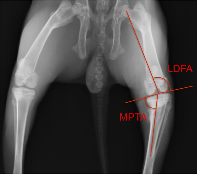 FIG. 3.