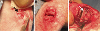 <b>FIG. 1.</b>