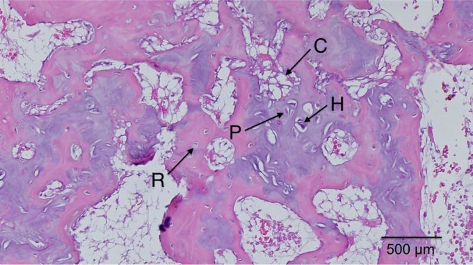 FIG. 7.