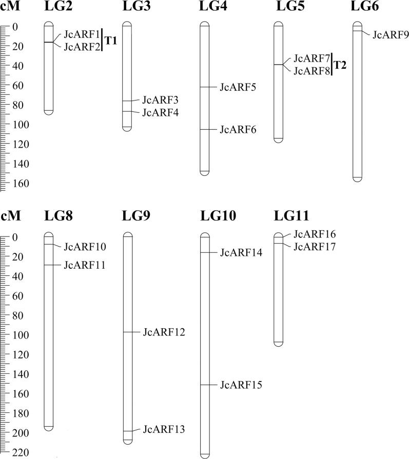 Fig 5